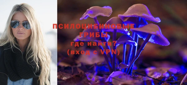 хмурый Нея