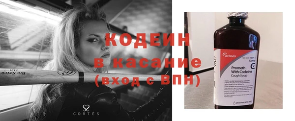 хмурый Нея