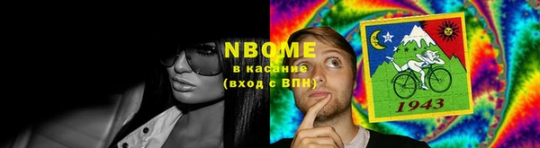 хмурый Нея