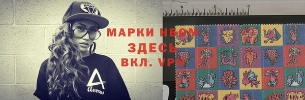 хмурый Нея