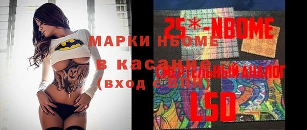 хмурый Нея