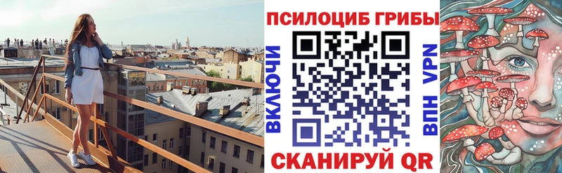 Галлюциногенные грибы Psilocybine cubensis  Юрьев-Польский 